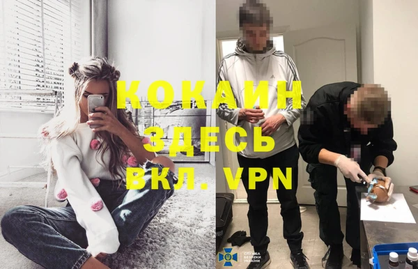 мяу мяу мука Аркадак