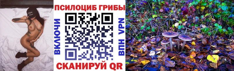 Псилоцибиновые грибы Psilocybine cubensis  Реж 
